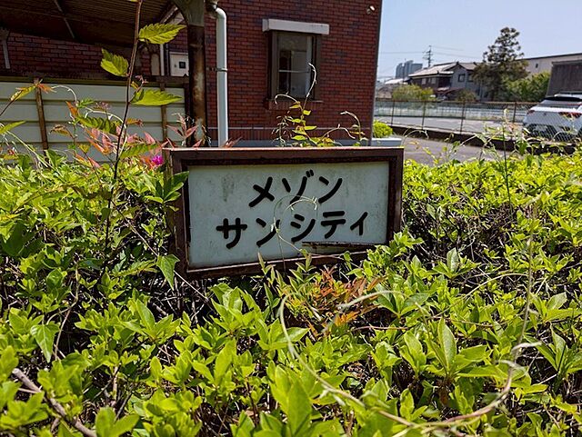 6 / 11