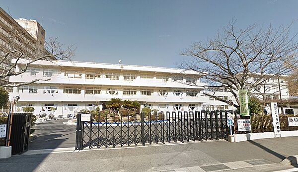 画像15:大津市立中央小学校（298m）