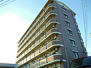 南草津駅より徒歩41分 築28年11ヶ月 7階建の賃貸物件