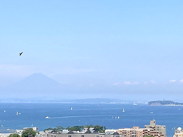 バルコニーからの眺望