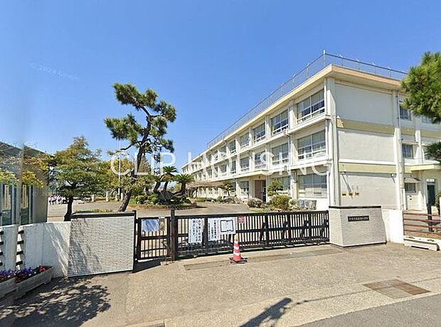 平塚市立金田小学校 徒歩11分。 840m