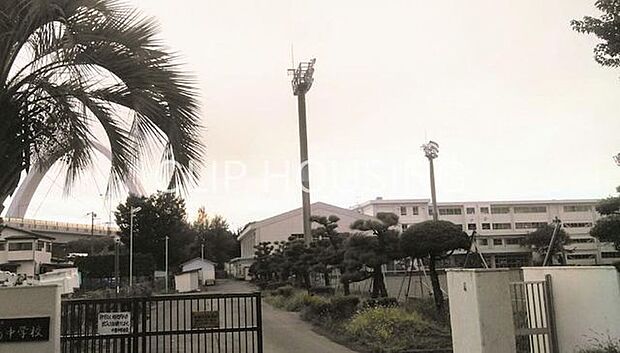 茅ヶ崎市立中島中学校 徒歩14分。 1120m