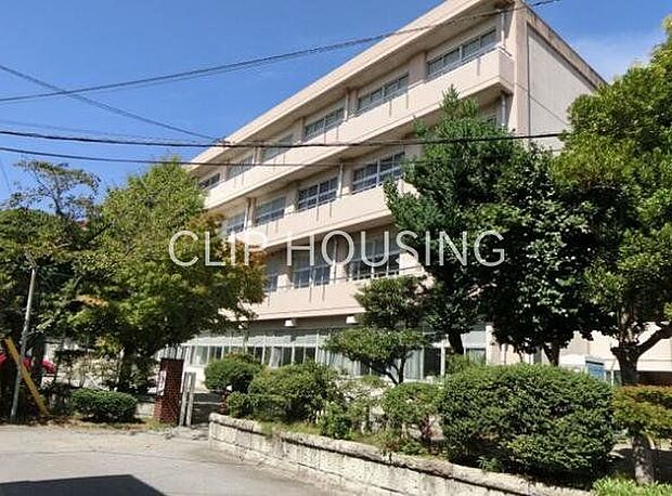 小田原市立国府津中学校 徒歩20分。 1600m