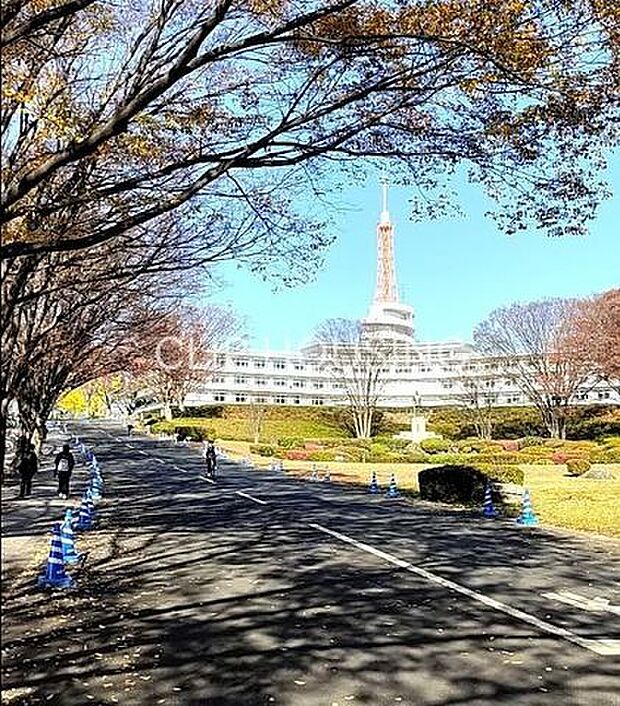 私立東海大学湘南キャンパス 徒歩25分。 2000m