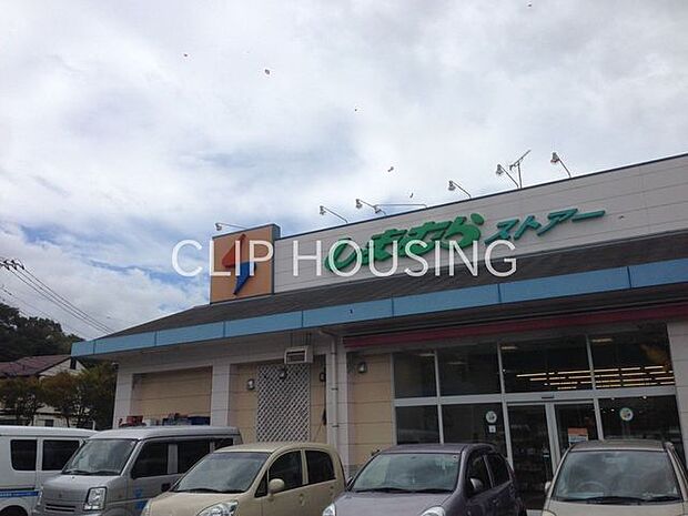 しまむらストアー旭店 徒歩8分。 570m