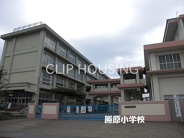 平塚市立勝原小学校 徒歩5分。 390m