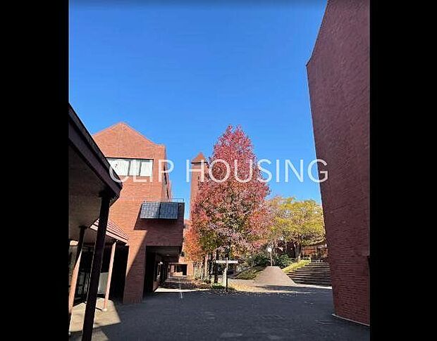 私立文教大学湘南キャンパス 徒歩59分。 4670m