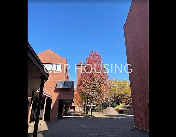 私立文教大学湘南キャンパス 徒歩94分。 7460m