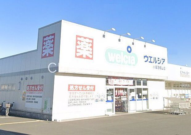 ウエルシア小田原栢山店 徒歩6分。 420m