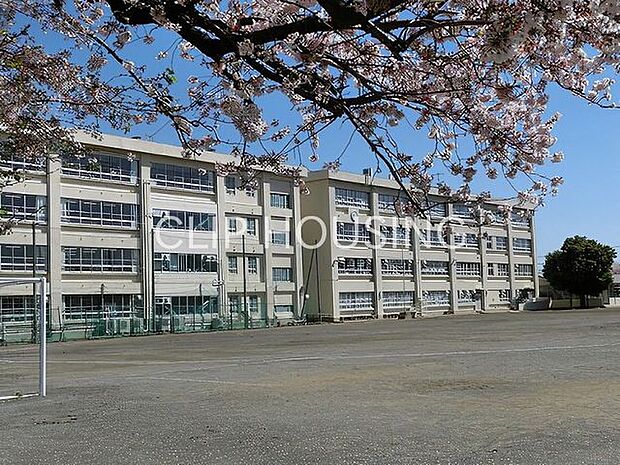 茅ヶ崎市立鶴嶺中学校 徒歩14分。 1100m