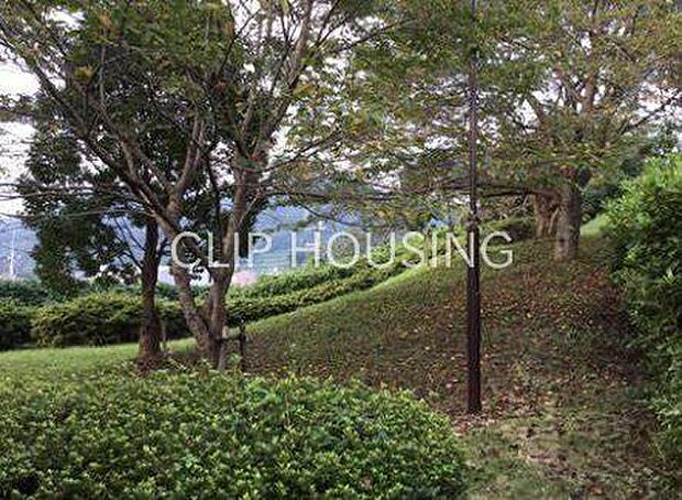 せりざわ緑地 徒歩32分。 2550m