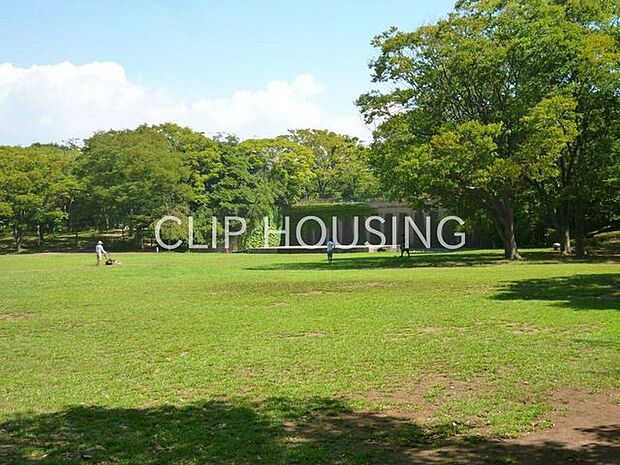 茅ヶ崎中央公園 徒歩15分。 1150m