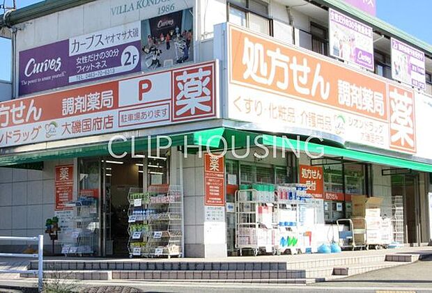 シオンドラッグ大磯国府店 徒歩8分。 580m