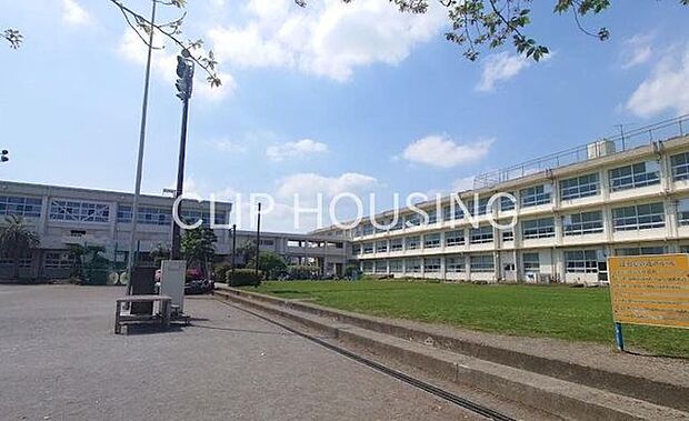 平塚市立八幡小学校 徒歩8分。 620m