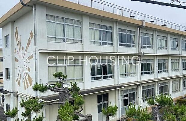 平塚市立浜岳中学校 徒歩9分。 650m