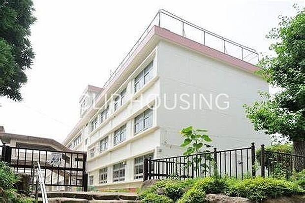 平塚市立崇善小学校 徒歩6分。 480m