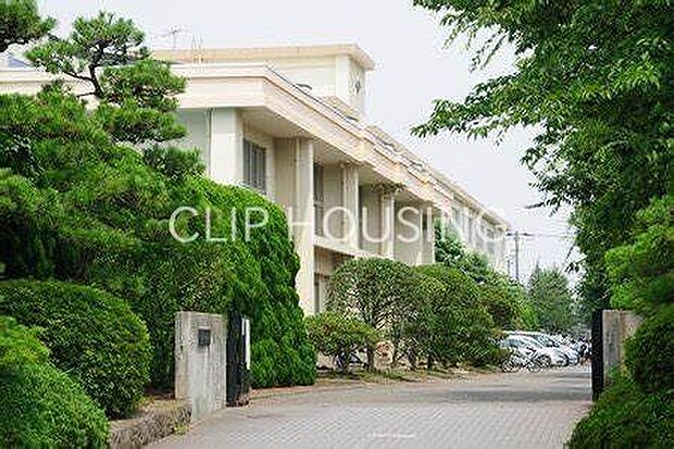 平塚市立江陽中学校 徒歩9分。 720m