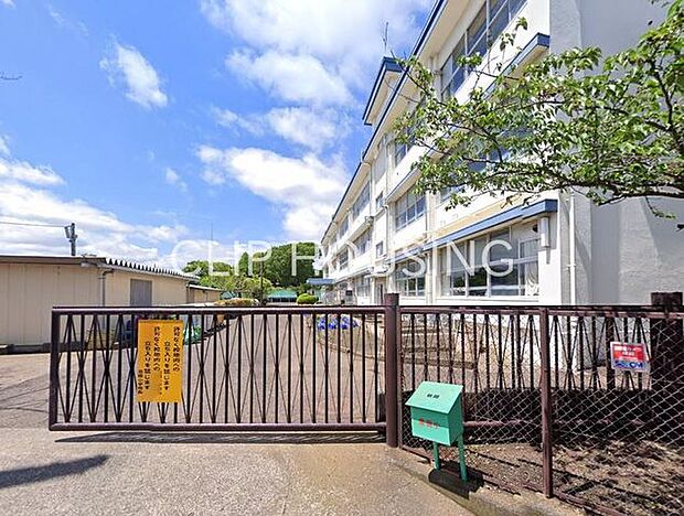 平塚市立豊田小学校 徒歩3分。 220m