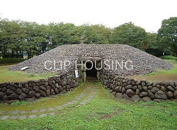 秦野市立桜土手古墳公園 徒歩20分。 1600m