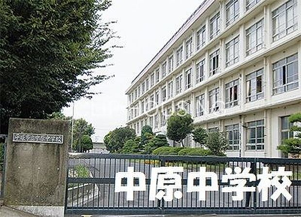 平塚市立中原中学校 徒歩4分。 250m
