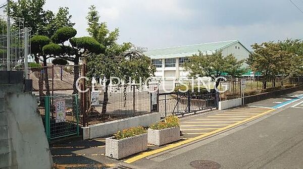 平塚市立金目小学校 徒歩3分。 210m