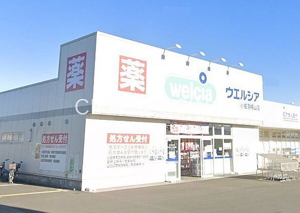 ウエルシア小田原栢山店 徒歩51分。 4060m