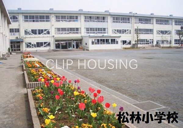 茅ヶ崎市立松林小学校 徒歩6分。 470m