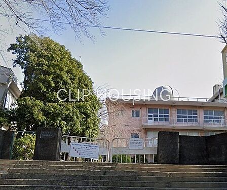 小田原市立白山中学校 徒歩18分。 1420m