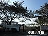 周辺：平塚市立中原小学校 徒歩16分。 1240m
