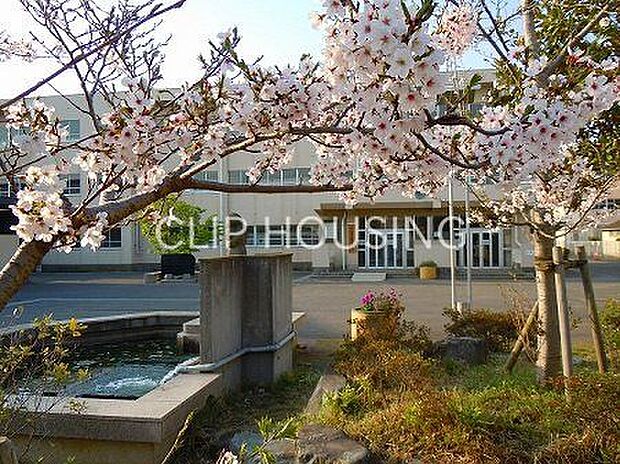 茅ヶ崎市立第一中学校 徒歩4分。 270m
