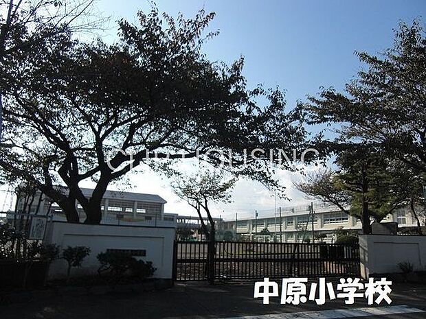 平塚市立中原小学校 徒歩5分。 370m