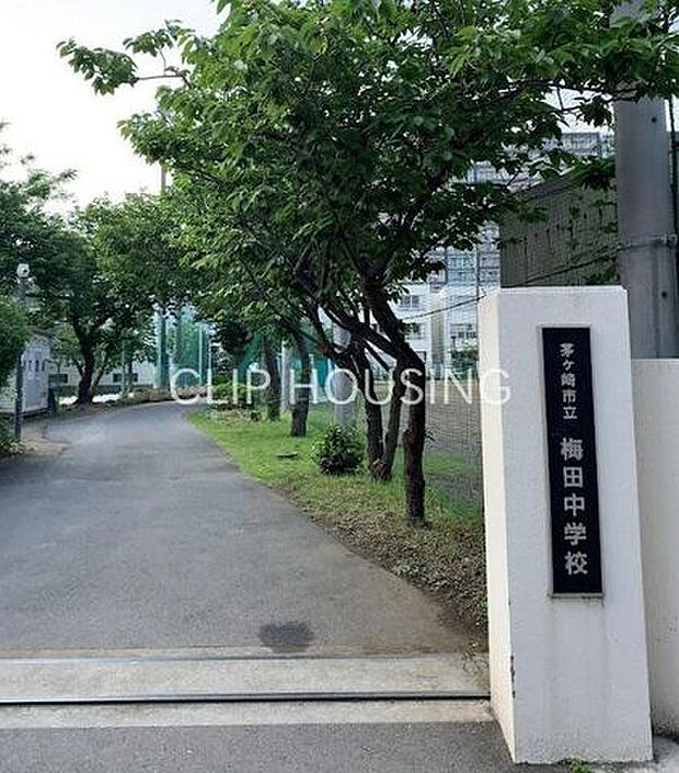 茅ヶ崎市立梅田中学校 徒歩11分。 870m