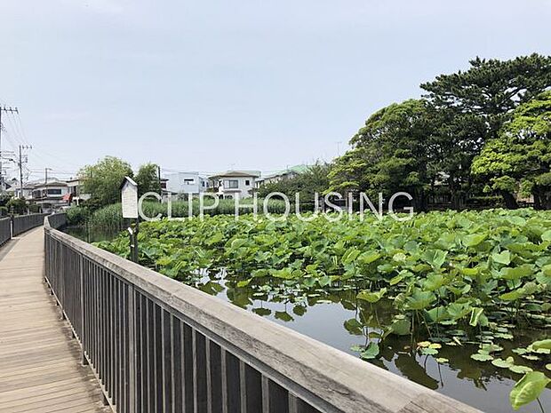 桜小路公園 徒歩27分。 2120m