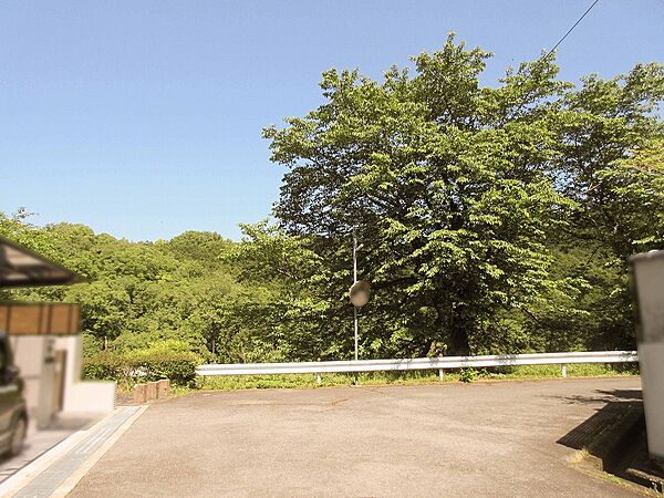 家の前の道路から東側を見たところです/緑が広がっています