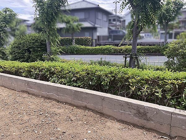 南東側。南東側道路の幅員は16mです