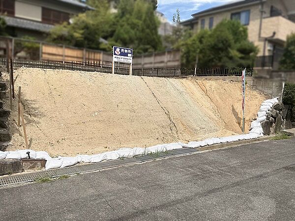 南西からの様子