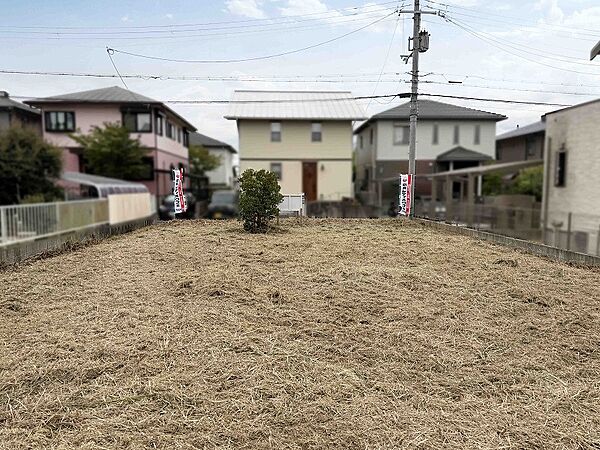 北からの様子