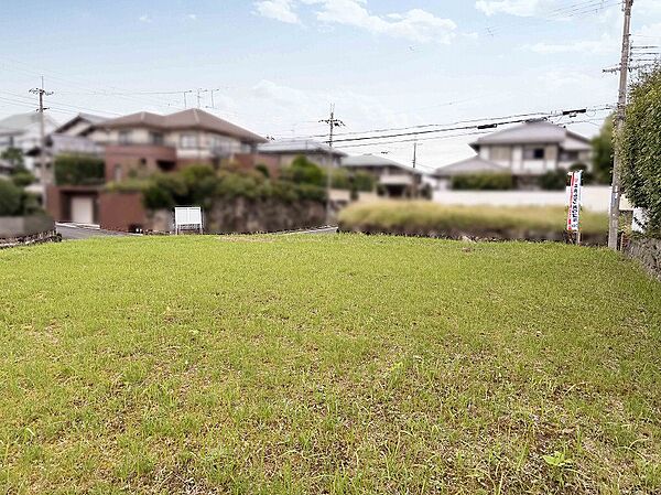 南から北を見たところ