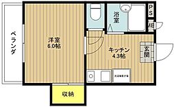 スターライトハウス 2階1Kの間取り