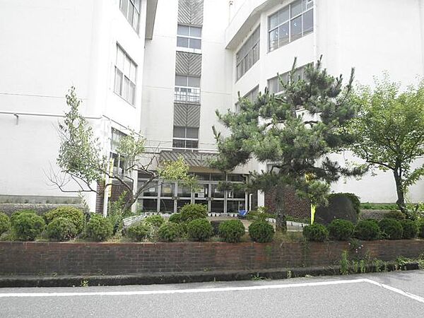 近隣写真 石山小学校 785m