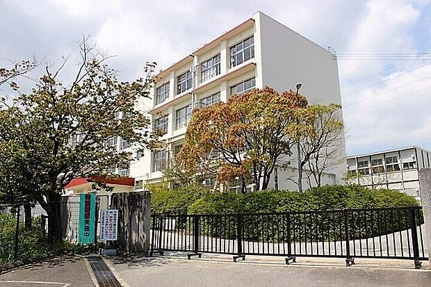 富士見小学校 405m