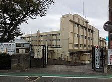 坂本小学校 1500m