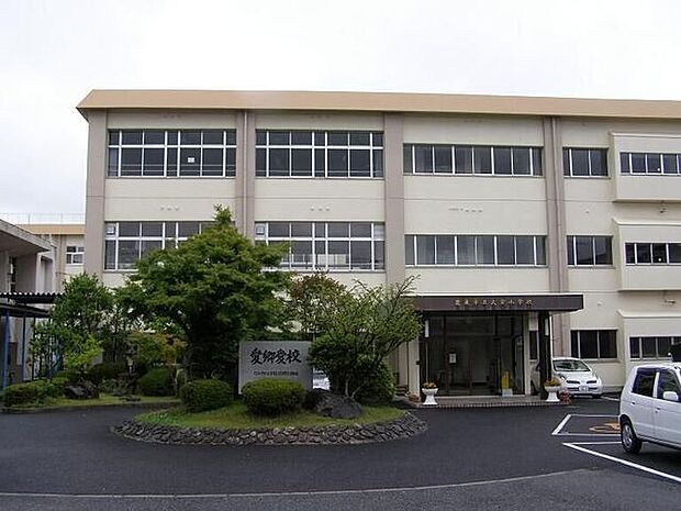 大宝小学校 190m