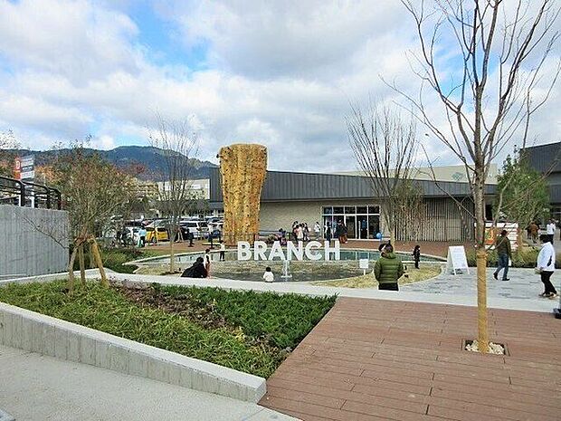 ブランチ大津京 1000m