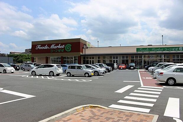 コープぜぜ 1170m