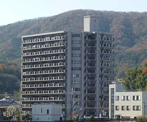 外観：325000131302