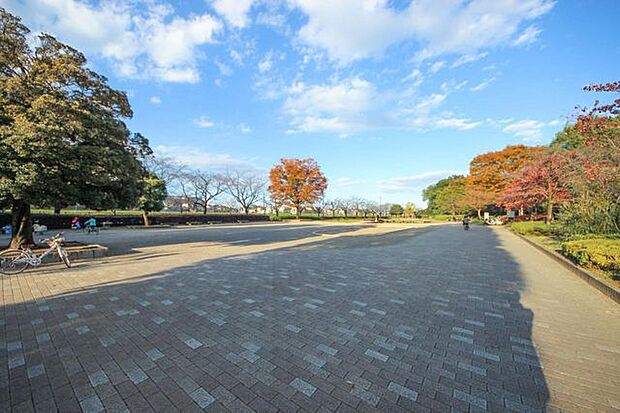 せせらぎ菖蒲園 315m