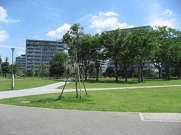 福岡中央公園 徒歩5分。 370m