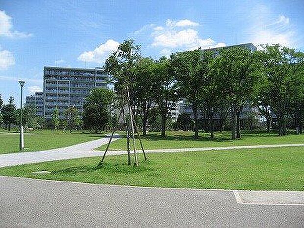 福岡中央公園 徒歩21分。 1620m
