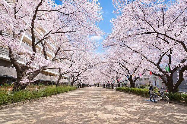 福岡中央公園 徒歩11分。 860m